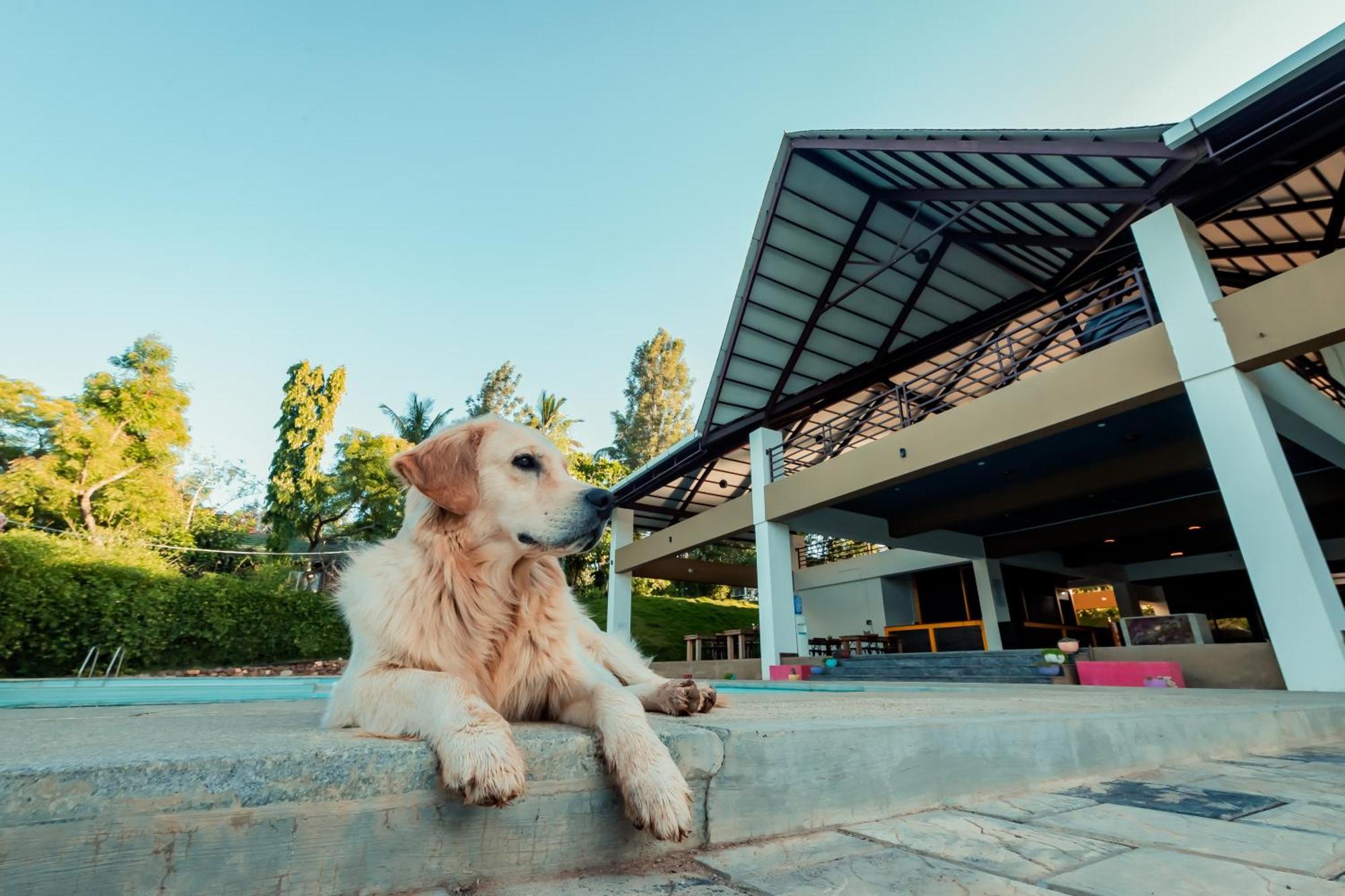 Commune18 Spa Resorts Chikmagalūr 외부 사진